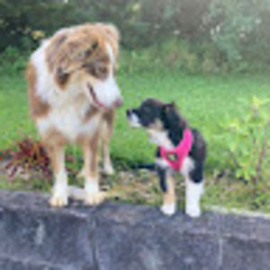 Meet your Posher, Lynn